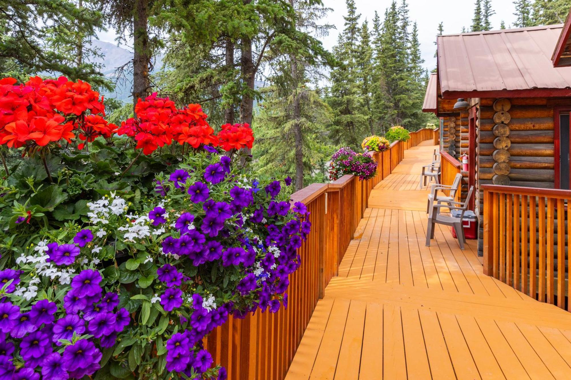 Denali Crow'S Nest Cabins Denali Park Exterior foto