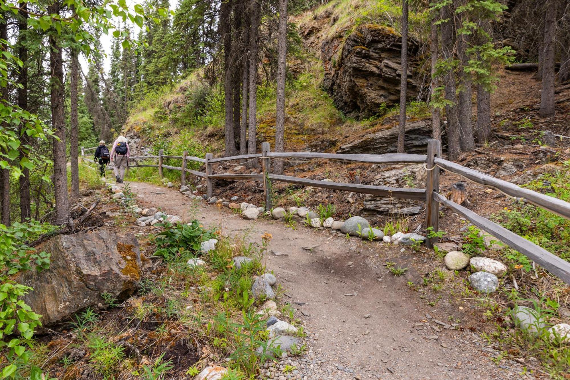 Denali Crow'S Nest Cabins Denali Park Exterior foto